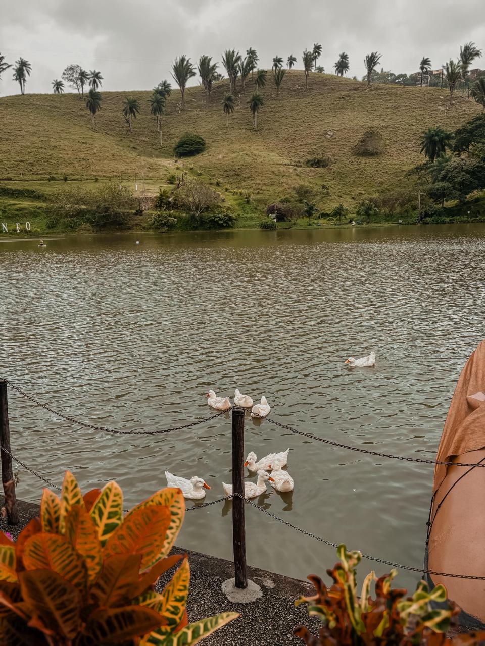 Areia do Brejo Paraibano