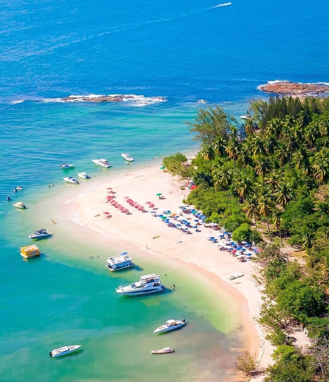 Ilha de Santo Aleixo