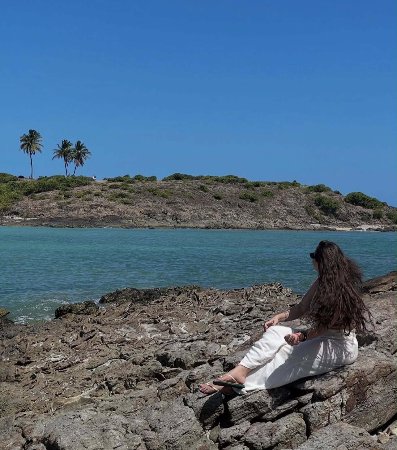Ilha de Santo Aleixo