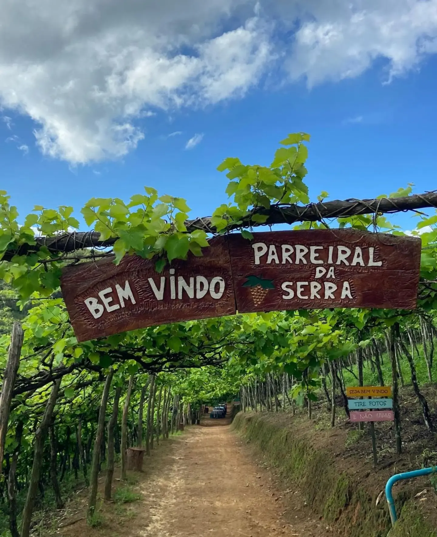Rota das Uvas