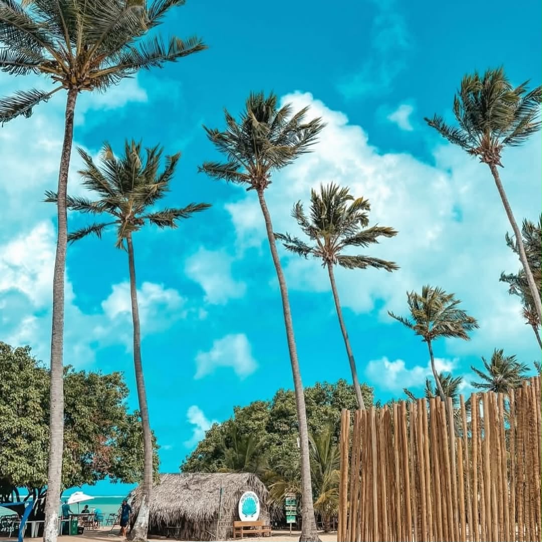 Praia do Patacho