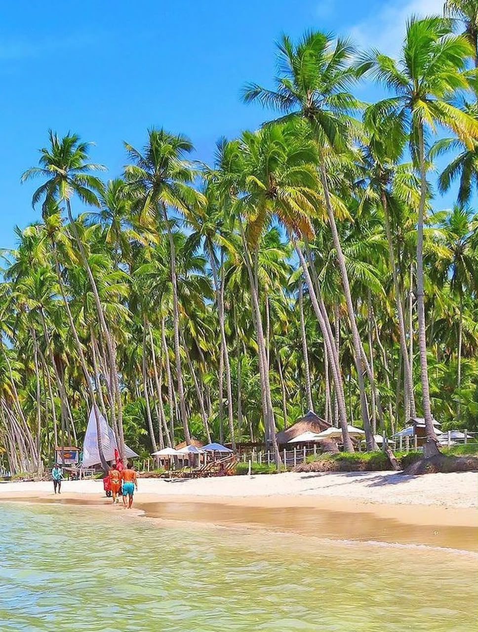 Praia dos Carneiros