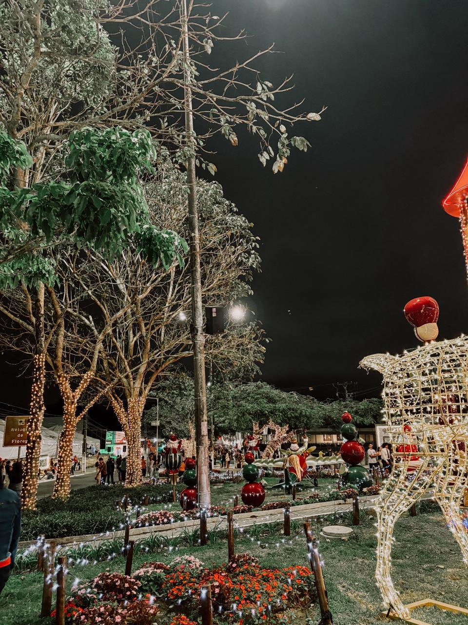 Encantos do Natal